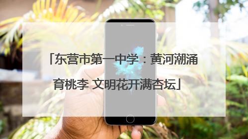 东营市第一中学：黄河潮涌育桃李 文明花开满杏坛